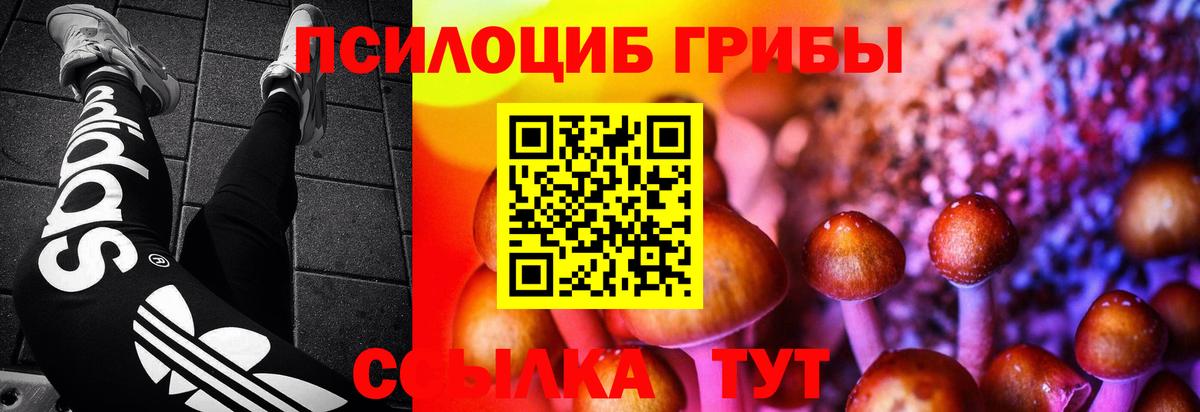 Галлюциногенные грибы ЛСД  Галлюциногенные грибы Psilocybe  Вход с VPN  Братск 